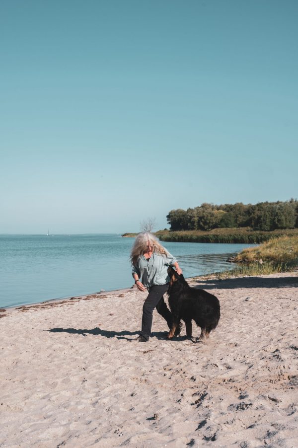 Strand, Meer, Bodden, Wasser, Hund, Frauenportärt, Natur, Wald