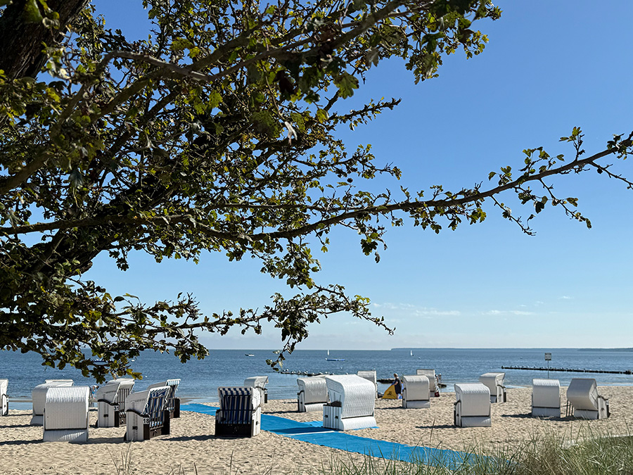 blauer Himmel, Sand, Strand, Baum, Standkörbe, Sommer, Sonne
