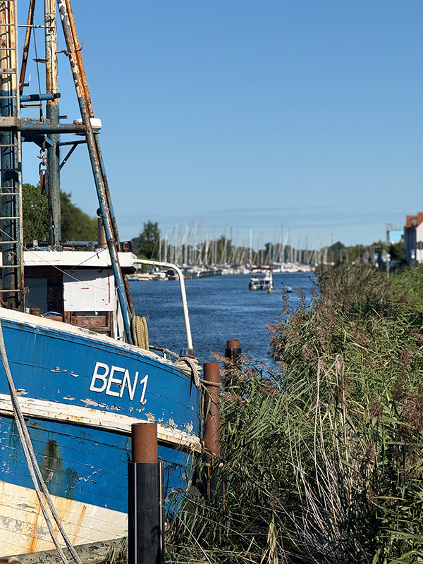 Ostsee, Greifswald, Kutter, Natur, Schilf Fischkutter