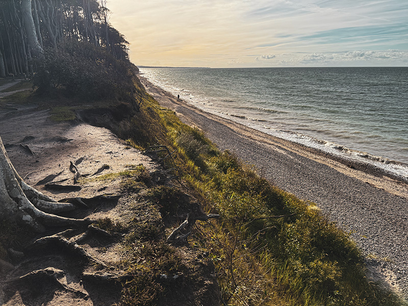 Gespensterwald Nienhagen, Meer, Ostsee, Strand, Sand, Natur, Sonnenuntergang