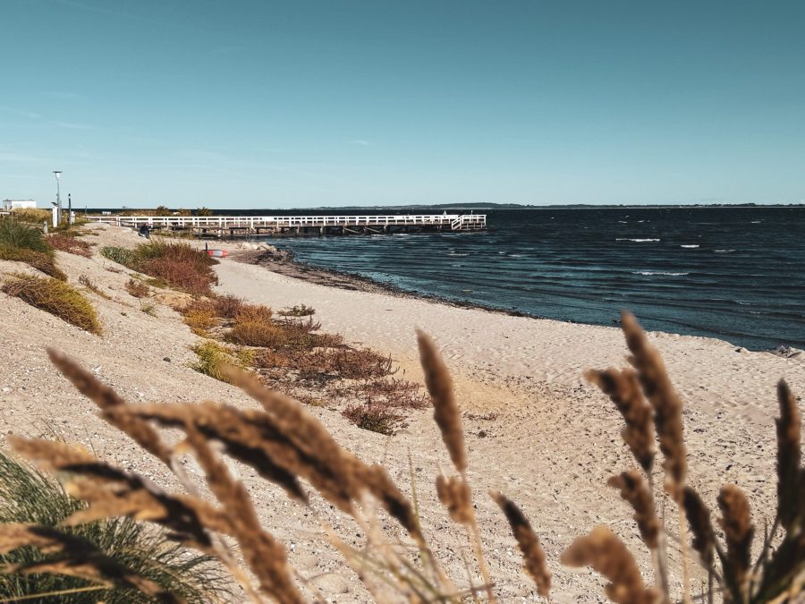 Hohwachter Bucht, Strand, Ostsee, Strandkorb, Sand Hohwachter Bucht, Strand, Ostsee, Strandkorb, Sand